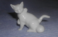 Chat blanc, assis avec balle