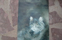 Carte postale d'art chat Dédé Moser Regard sur l'infini