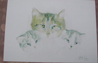 Carte postale d'art chats Dédé Moser "Les chats en particulier"