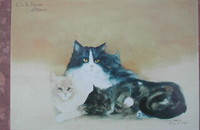 Carte postale d'art chats Dédé Moser "On le laisse dormir"