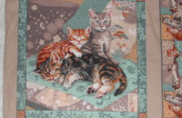 Tissu pour coussin avec 3 magnifiques chatons