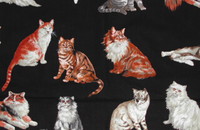 Tissu noir avec chats multicolor