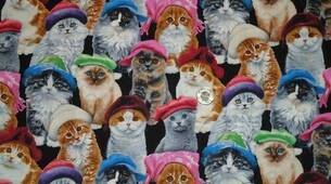 Tissu chats avec bonnets
