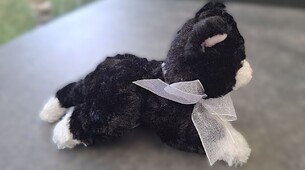 Petit chat en peluche noir et blanc Gund