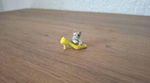 Miniature chat avec chaussure jaune