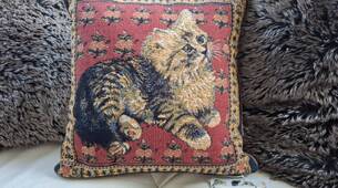 Coussin chat Lesley Anne Ivory