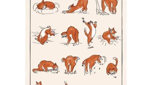 Linge de cuisine Journée du chat