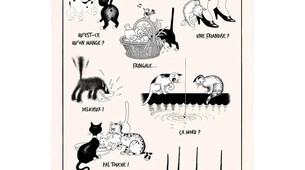 Linge de cuisine chats Dubout La Gourmandise