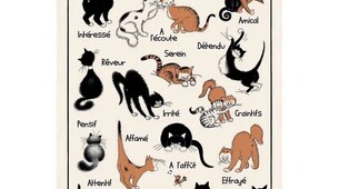 Linge de cuisine Dubout chats Chat'titudes