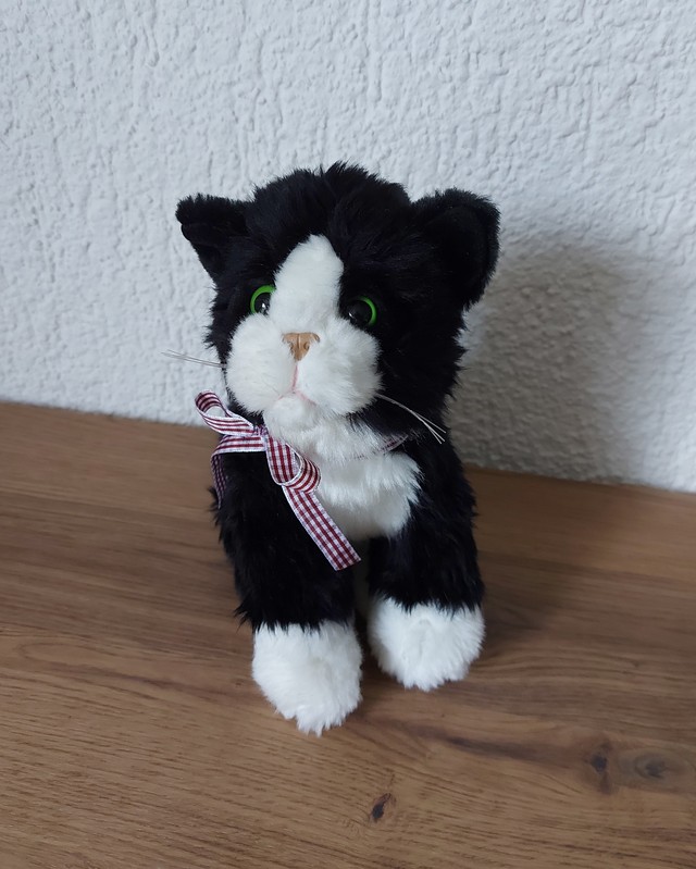 Peluche Chat Noir et Blanc Petit - Fillettes & Fiston