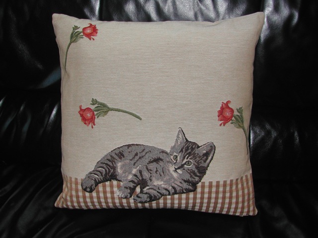Offre Du Mois Grand Coussin Avec Chat Couche Boutique Chats D Oeuvre Offre Du Mois Grand Coussin Avec Chat Couche Boutique Chats D Oeuvre