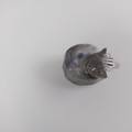 Aperçu du produit (touche ESC pour fermer)