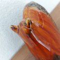Aperçu du produit (touche ESC pour fermer)