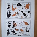Aperçu du produit (touche ESC pour fermer)
